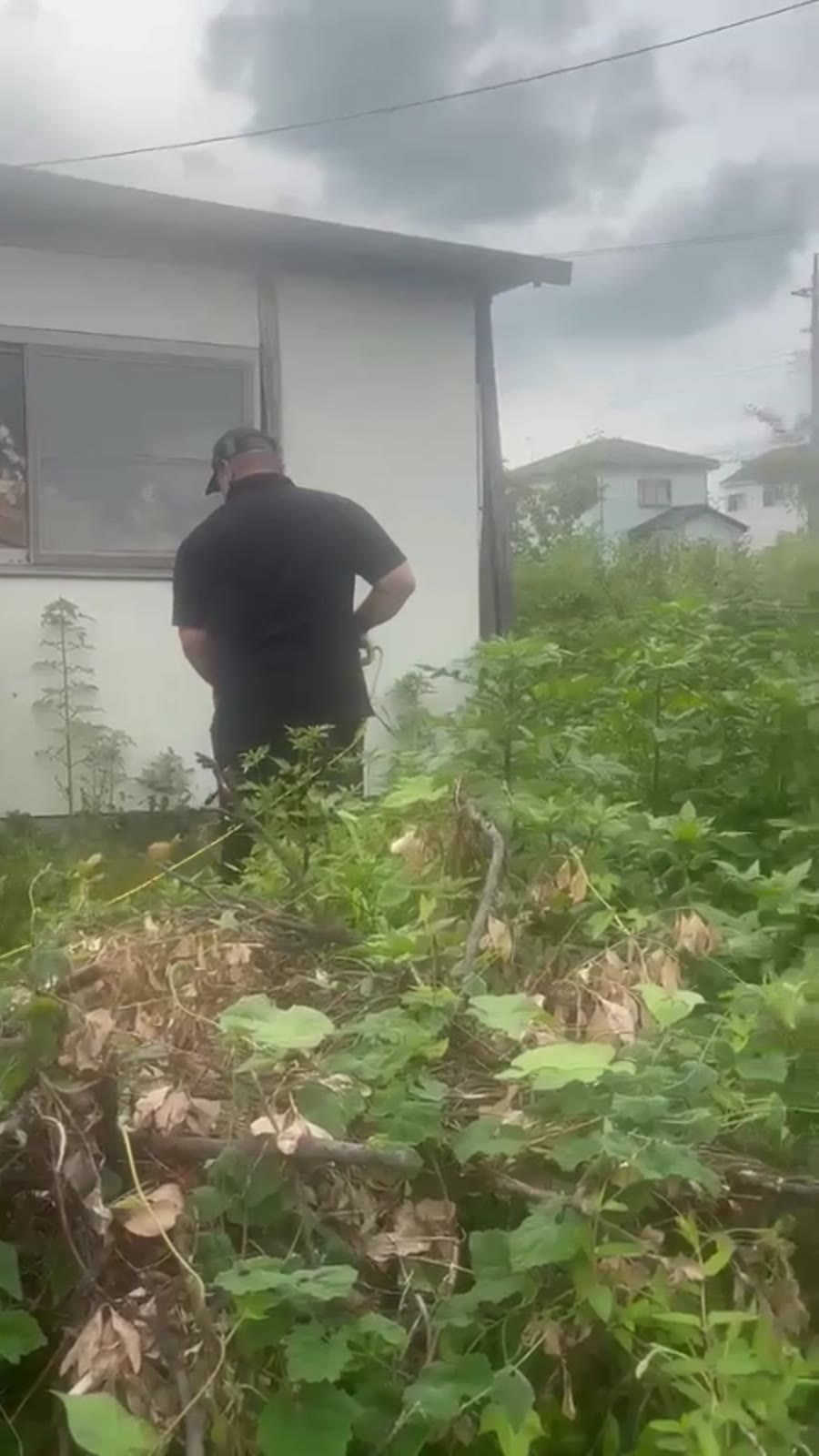 Corte de vegetação em terreno no Japão